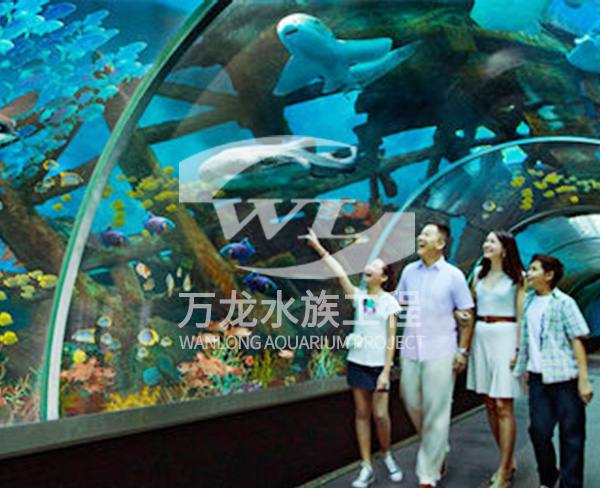 海洋館如何進(jìn)行安全設(shè)計(jì)和施工？