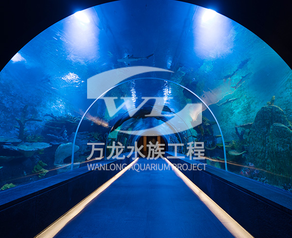 大型海洋主題公園如何進(jìn)行安全設(shè)計(jì)和施工？