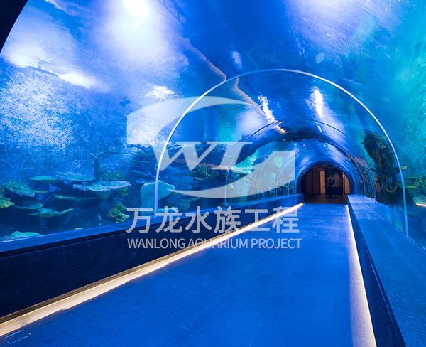 海洋館的發(fā)展趨勢(shì)是什么？