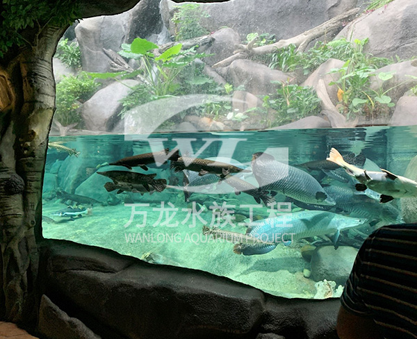 海洋餐廳的工作原理是什么？