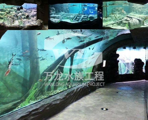 大型水族工程的建設目的是什么？