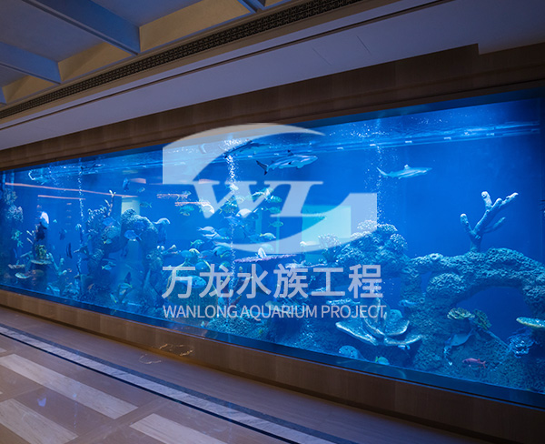 大型水族館如何維護(hù)和保養(yǎng)？