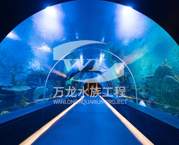 人魚表演需要什么樣的照明設(shè)備？