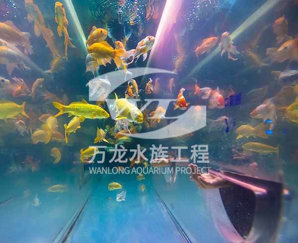 負壓魚缸
