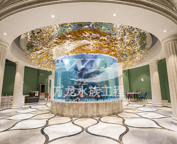 負(fù)壓魚缸如何放置？