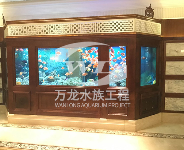 表演魚缸為什么有異味