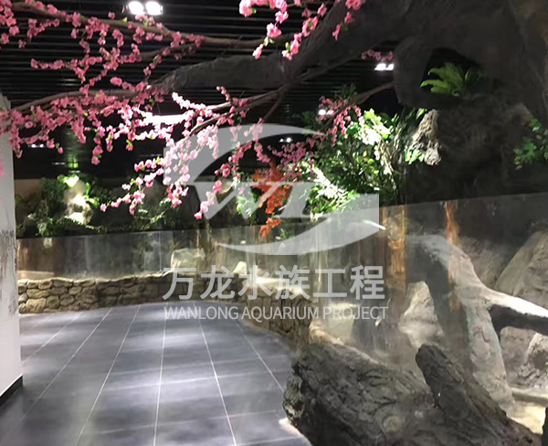 萌寵樂(lè)園