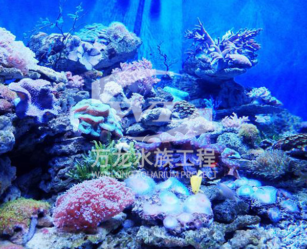 海底景觀設計
