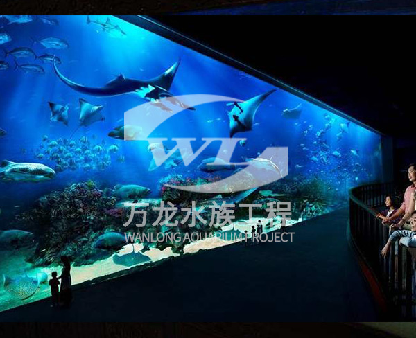 海底景觀設計