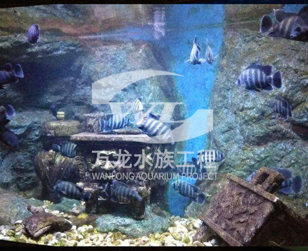 海底景觀設計