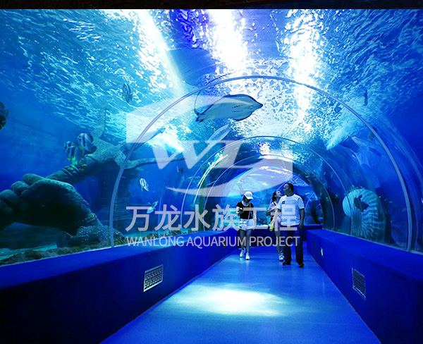 海底景觀設計
