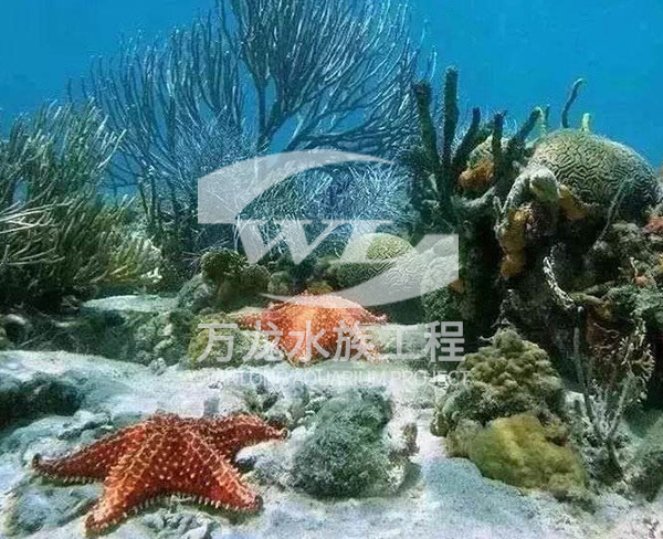 海底景觀設計