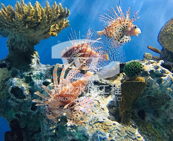 海底景觀設計