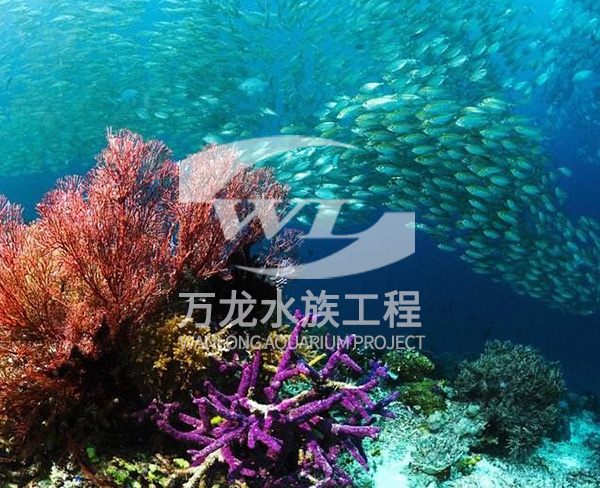 海底景觀設計