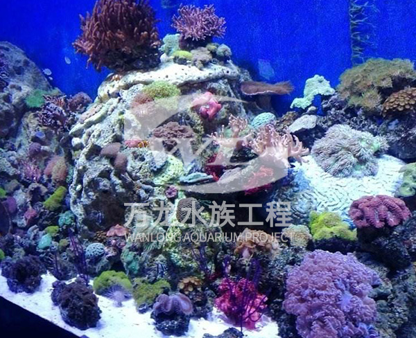 海底景觀設計