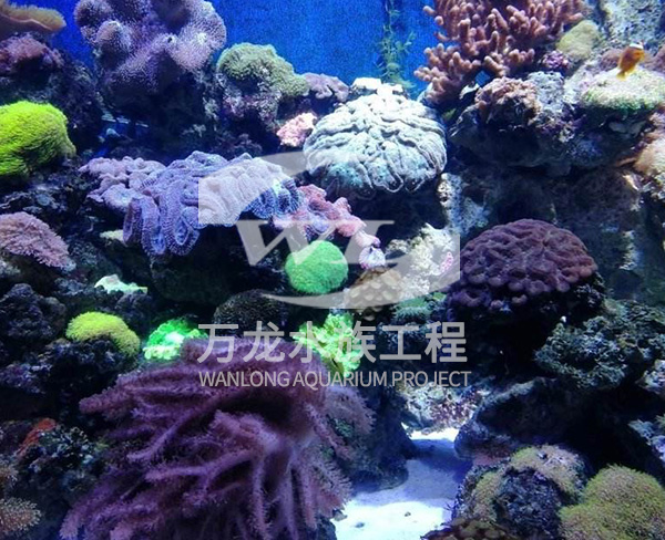 海底景觀設計