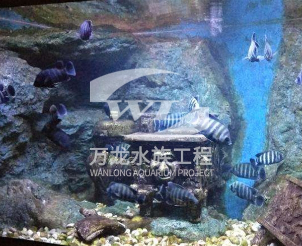 浙江安吉亞海底景觀設(shè)計