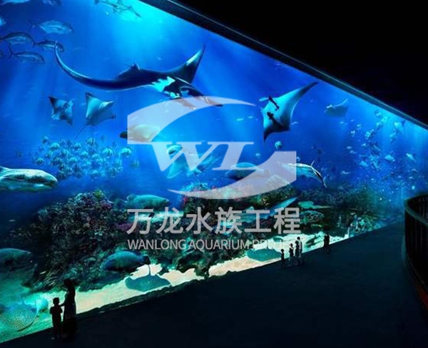 西寧萬達(dá)海底景觀設(shè)計