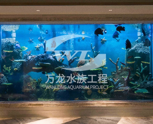 諸暨御江灣海底景觀設(shè)計