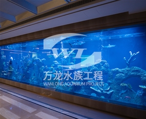 如何辨別亞克力觀賞魚缸的材質(zhì)？