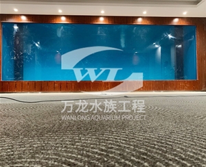 辦公室魚(yú)缸玻璃的功能