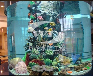 喂奶魚魚缸爆裂是什么問題呢？    