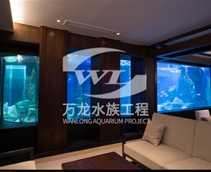 大型魚缸缸體表面發(fā)黃怎么解決