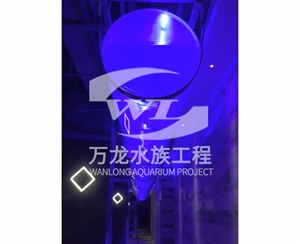 表演魚(yú)缸的維護(hù)操作是什么