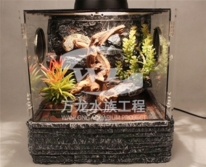 如何清理大型魚缸