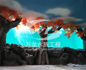 錦鯉魚缸的維護(hù)操作是什么