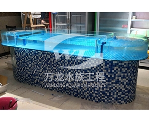 觀賞魚缸的過(guò)濾器使用特點(diǎn)